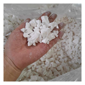 Polvo de arrurruz puro de Vietnam con color natural, empaquetado en bolsas a granel para fábricas y distribuidores de alimentos - Product Image 2