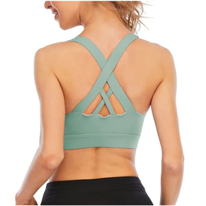 Nuevo Diseño de Sujetador Deportivo para Mujer Talla Grande, Opción de Logotipo Frontal, Material Spandex/Nailon, Resistente al Viento, Ecológico, para Gimnasio, Fitness y Entrenamiento - Product Image 2