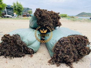 VENTES CHAUDES SARGASSUM ALGUE SÉCHÉE pour ALIMENTS POUR ANIMAUX pour le VIETNAM - Product Image 3