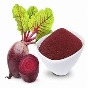 Gran demanda de frutas de remolacha a la venta a precio mayorista, valiosas para alimentos, medicinas y aplicaciones industriales - Product Image 5