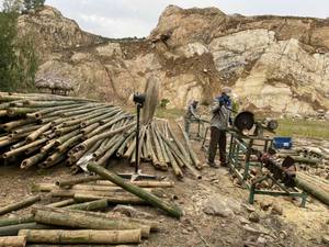 Tubos de bambú de alta demanda, fabricados en Vietnam, oferta directa de fábrica, estructura estable, superficie lisa y capacidad de exportación a granel. - Product Image 4