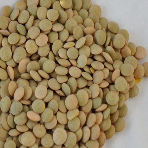 Organic Dried Green Red Yellow <b>Lentils</b> for Export From France 25kg - Product Image 1
