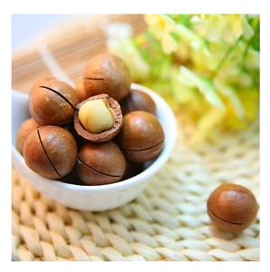 Nueces de Macadamia Orgánicas Secas de la Mejor Calidad a Precio de Venta Caliente de un Proveedor Mayorista - Product Image 1