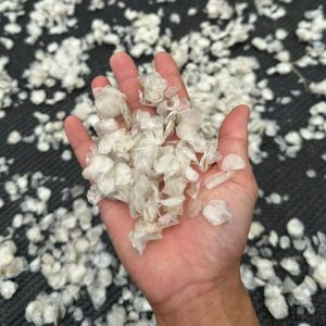 สารสกัดจากคอลลาเจนปลานิลแห้งจากโรงงานเวียดนาม - Product Image 5