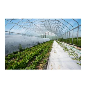 High Quality Customized Color Textile Raw Material Polypropylene PP Spunbond Non Woven Fabric for Agriculture Crop Cover