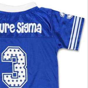 Maillot de football pour enfants PBS-Bleu royal | Maillot pour jeune Phi Beta Sigma en polyester 100% avec logos, boucliers et patchs brodés - Product Image 4