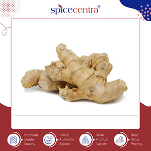 Jengibre de Maharashtra Puro, Auténtico, de Alta Calidad, Entero, Crudo y Seco, Delux, 12 Meses de Duración, para Cocinar, Origen India, Exportador - Product Image 4