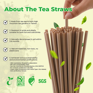 หลอดทำจากอ้อยแบบใช้แล้วทิ้งเป็นมิตรต่อสิ่งแวดล้อมสำหรับงานปาร์ตี้ขนาด6มม. * 21ซม. - Product Image 3