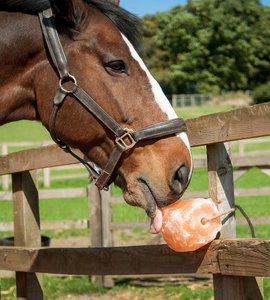 Bloc de sel de l'Himalaya naturel de 2,5 kg, bloc rond, supplément minéral au toucher réel, aliment nutritif pour le bétail et la faune, alimentation animale - Product Image 6