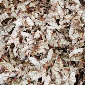 HOT HOT !!! BEST PRICE WHOLESALE DRIED CRAB SHELL / SHRIMP SHELL/ DRIED SHRIMP SHELL MANUFACTURER FROM VIET NAM I 100% natural