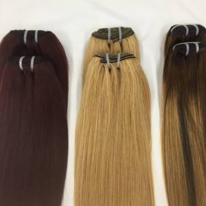 Extension de cheveux Remy multicolores de haute qualité, cheveux humains à trame unique - Product Image 1