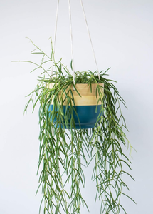 Pot de plante suspendu en bambou coloré avec corde, jardinière décorative d'intérieur en bambou tressé pour la vente en gros - Product Image 4