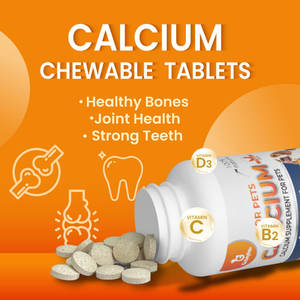 Compresse Masticabili per Animali Domestici ODM/OEM 200g/flacone Integratore Nutrizionale di Calcio per Gatti e Cani - Product Image 5