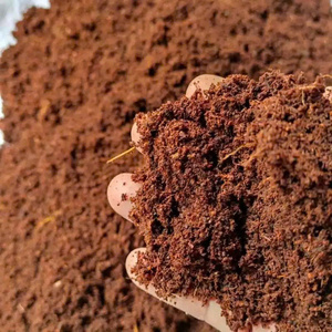 Bán buôn thân thiện với môi xơ dừa khối 5kg-nén xơ dừa khối trực tiếp từ nhà máy bởi eco2go Việt Nam - Product Image 3