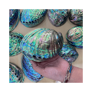 Bols entiers en coquille d'ormeau pour la prise d'encens et le style de table d'entrée, matériau décoratif naturel, finition artisanale du Vietnam - Product Image 1