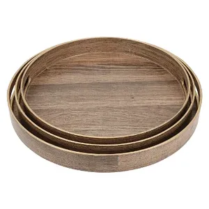 Cobertizo de estilo moderno de alta calidad, diseños de bandeja de servicio de acero metálico, acabado dorado pulido, características sostenibles, precios efectivos - Product Image 3