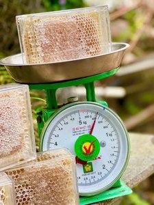 VENTE EN GROS EN VRAC BIOLOGIQUE BRUT | MIEL DE RUCHE NATUREL PUR POUR LE COMMERCE INTERNATIONAL - Product Image 5