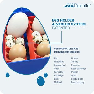 Lumia 8 Expert Dc 12V Egg Incubator Good Temperature Stability Effective Small Egg Poultry Incubator 8 <b>Chicken</b> Egg Made <b>in</b> Italy - Product Image 3