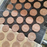 Ligne de production entièrement automatique de biscuits Marie 80-100 kg/h, machine à petite échelle pour l'usine de snacks du marché Afrique-Inde