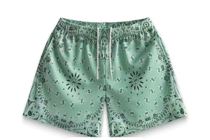 Vente en gros de shorts en maille Pasiley de haute qualité Short de basketball imprimé LOG personnalisé pour hommes entrejambe respirant de 5 pouces - Product Image 6