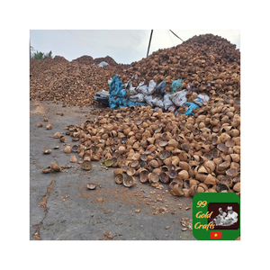 Distribution directe d'usine de coquille de noix de coco pour les travaux créatifs de charbon de bois et la décoration fonctionnelle de maison/jardin en quantités en vrac - Product Image 6