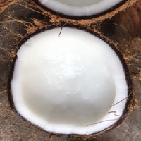 Gedroogde Kokosnoot Van Vietnam Low Moq Tropische Stijl Volwassen Zoete Voeding Hot Selling Biologische Export Beste Kwaliteit Merk