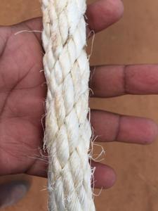 Fibra de Sisal de Primera Calidad, Fibra de Sisal Natural de Calidad Perfecta para Tela de Sisal, WhatsApp +255748554044 - Product Image 6