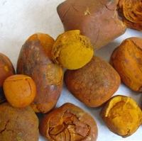Piedras Biliares Comestibles de Sebo Bovino de Calidad para Alimentación, Aplicación en Piensos, 3 Años de Vida Útil, Hechas en ZA, Marca Gallstones +27739729209