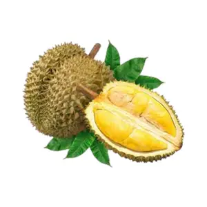 Тропическое сокровище-экспорт-качество Durian прямо из источника