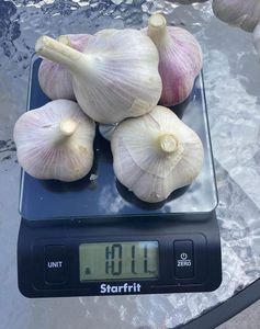 Ail frais à vendre - Product Image 1