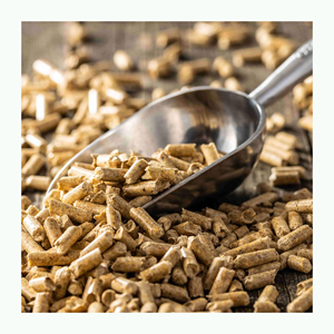 Pellets de madera ecológicos renovables proveedor mayorista a granel para hogares granjas industrias y plantas de energía - Product Image 1