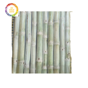 IQF Vietnam Frozen Sugarcane-Produit d'exportation haut de gamme à partir de 99 Gold Data made in Vietnam - Product Image 1