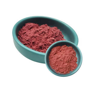 Premium Rose Powder | High Fragrance Quality for Wellness Use - Product Image 6