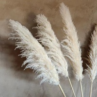 Penawaran eksklusif rumput Pampas alami besar Dekor pengaturan pernikahan elegan Chic anggaran Hari Ibu Natal kumpulan Paskah