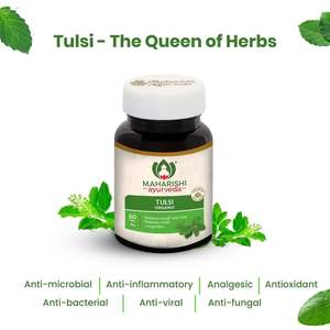 Tabletas de Tulsi orgánicas de la mejor calidad para suplementos nutricionales respiratorios Personalización Etiqueta privada - Product Image 3