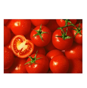 Tomates Frescos Orgánicos de Cereza y Ciruela, Paquete de 20 kg a Precio Económico de Mercado - Product Image 3