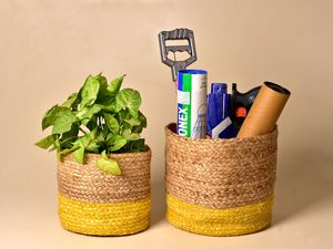 Actory-arroz resistente, - Product Image 4