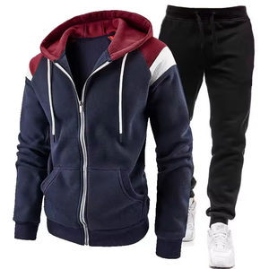 Venta caliente para hombre Casual Zip-Up Hoodie chaqueta de bloque de color transpirable para Otoño Invierno ropa deportiva trajes para adultos - Product Image 2