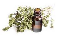Huile essentielle de thym blanc 100% pure, fraîche, douce, naturelle, en vrac, vente en gros