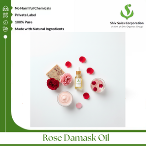 Aceite de Rosa Damasco con Aroma Floral Tradicional para la Fabricación de Productos de Cuidado Personal Premium - Product Image 3