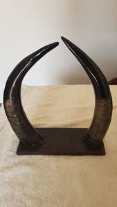 แก้วน้ำวีกิ้งอินเดีย ทำจากวัสดุธรรมชาติ เป็นมิตรกับสิ่งแวดล้อม ทนทาน คุณภาพสูง ขัดเงาอย่างดี - Product Image 4