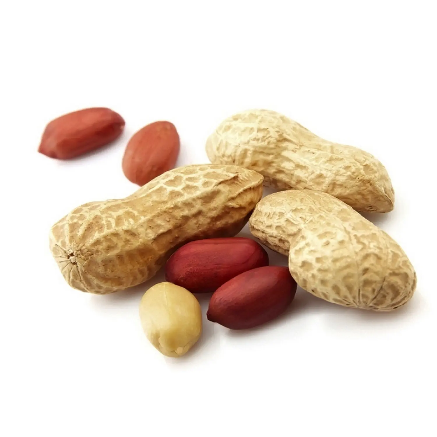 Kacang Berkualitas Baik 100% Kacang Alami Tanpa Cangkang