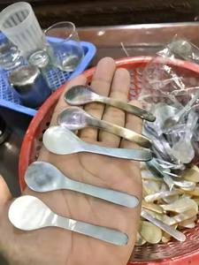 Cuchara blanca de madreperla, cuchara de caviar, cuchara de concha disponible. 100% de nácar Premium hecho a mano de Vietnam - Product Image 4