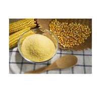 Amidon de maïs de haute qualité/amidon de tapioca Farine de maïs sans gluten Amidon pour la qualité alimentaire
