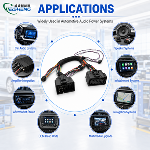 Harnais de câblage audio et d'alimentation OEM 40 broches ISO pour autoradio vers RCA <span class=keywords><strong>3</strong></span>,5 mm - Product Image 2