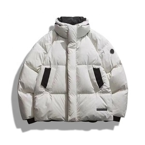 Vente en gros 100% polyester automne hiver manteau hommes 2023 duvet épais léger fermeture éclair surdimensionné à capuche veste bulle vestes - Product Image 5