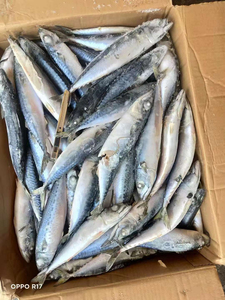 Suministro a granel 100% caballa congelada natural baja en carbohidratos baja en grasa sin piel entera sin hueso paquete al vacío 25kg para restaurantes hogares - Product Image 5