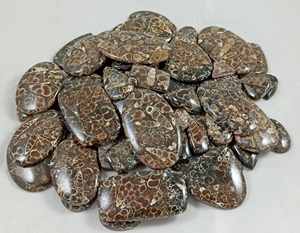 Cabujón de Ágata Turritella Natural, Fósil, Parte Trasera Plana, Formas Variadas, Piedras Preciosas Sueltas a Granel, Joyería de Plata - Product Image 5