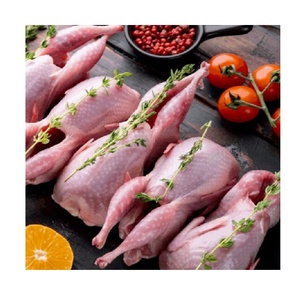 Carcasas de Codorniz de Alta Calidad, Criadas en Granja, Frescas y Congeladas, Suministro al por Mayor, Ideal para Hoteles, Restaurantes, Servicios de Catering y Producción de Alimentos - Product Image 3