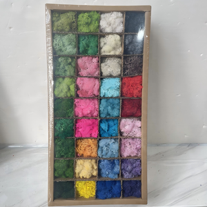 Mousse organique préservée en direct de haute qualité pour décoration intérieure, <span class=keywords><strong>art</strong></span> mural unique pour Noël, Pâques, Halloween dans les restaurants <span class=keywords><strong>et</strong></span> les maisons - Product Image 6